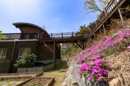 국립예산치유의숲