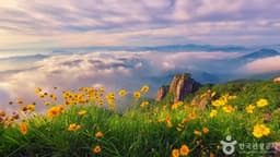 대둔산도립공원(전북)