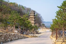 안동 법흥사지 칠층전탑