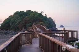 개미허리아치교