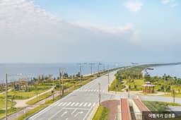 가창오리의 화려한 군무를 만나다