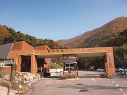 팔공산금화자연휴양림캠핑장