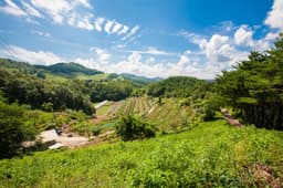 돈너미 카르스트