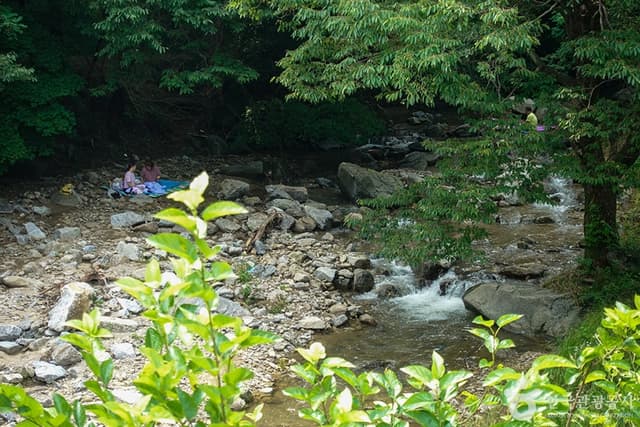Image 0