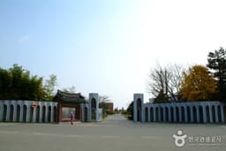 인생샷 남기고 추억 남기고