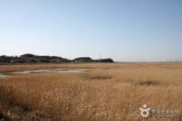 안산에서 즐기는 시원스런 전망과 즐거운 체험