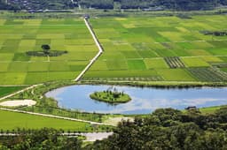 [지리산둘레길] 대축~원부춘