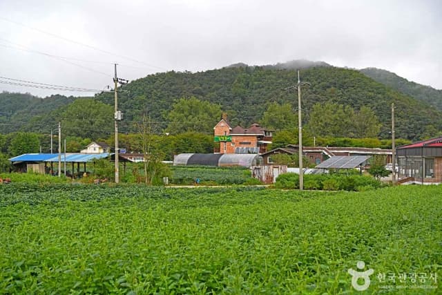 Image 4