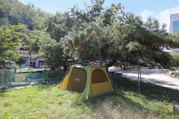 영천드림랜드오토캠핑장