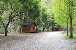 알프스밸리오토캠핑장