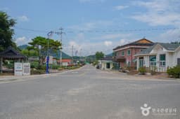 고흥 신기거북이마을