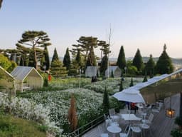 마호가니 강화점