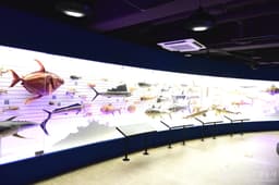 전라남도교육청 자연탐구원