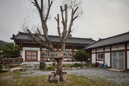버섯구지마을