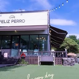 펠리스뻬로시티