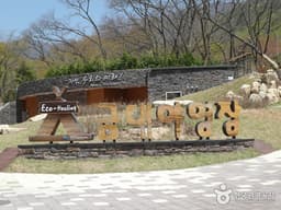 금대 에코힐링 캠핑장