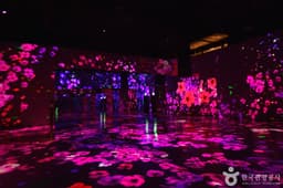 아이뮤지엄 여수점