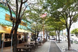 해운대 로데오거리