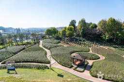 장성무궁화공원