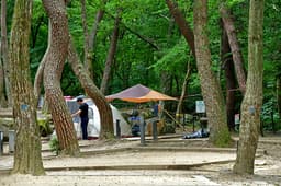 가야산국립공원 치인자동차야영장