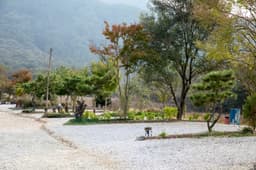 한탄강둘레길캠핑장