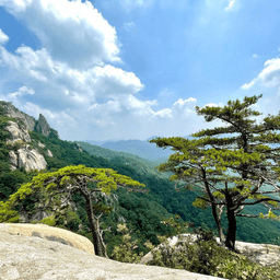 용화산 (강원평화지역 국가지질공원)