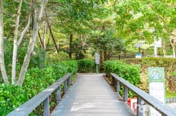 봉화산근린공원