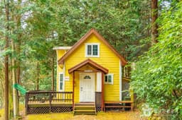 무등산편백자연휴양림