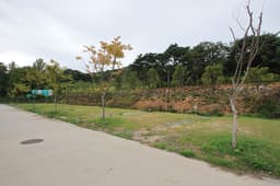 천수만권역상황오토캠핑장