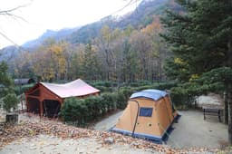 금대자동차야영장