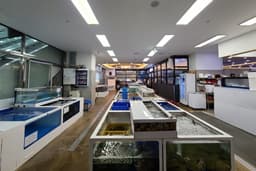 중부회수산시장