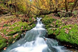 검룡소 (강원고생대 국가지질공원)