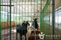 찬우물 체험동물농장