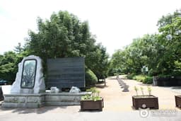 몸과 마음을 치유하는 에코 테라피