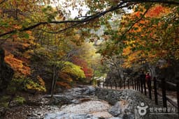 기암절벽에 피어난 단풍따라, 깊은 계곡 따라