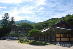 고성의 독특한 전통문화를 즐기다