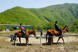 승마는 교감이라고 합니다. 말과 함께 느껴보세요.