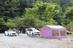 강원도힐링캠핑장