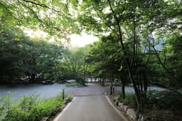 계룡산동학사자동차야영장