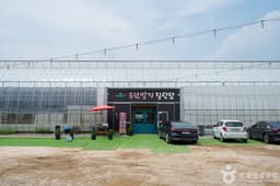 포천딸기힐링팜