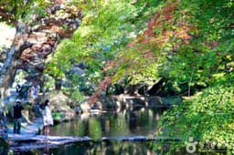 도솔계곡(선운산)