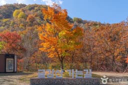 [DMZ 평화의 길] 두타연 피의능선 코스