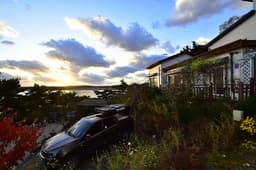 아잘리아그린캠핑장