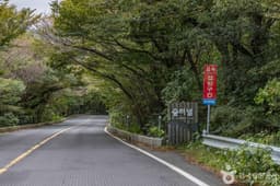 5.16 도로숲터널