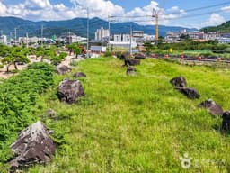 청도 범곡리 지석묘군