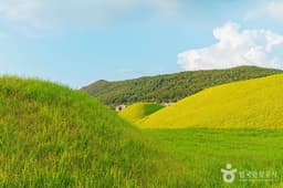 나주 복암리 고분군