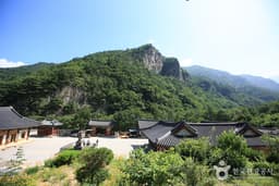 무릉도원에서 즐기는 시원한 하루