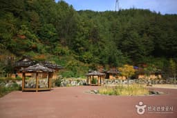 강원도의 바다와 볼거리 알차게 체험하자