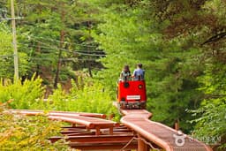 솔향공원 스카이바이크