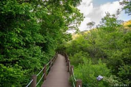 물무리골생태습지